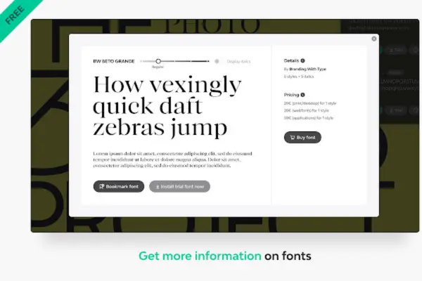 Fonts Ninja Chrome Extension