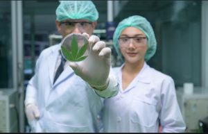 The Growing Demand for Cannabis Research Jobs in the Cannabis Industry