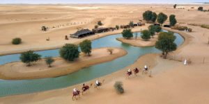 Oasis in the Desert: Landscaping Marvels of Dubai