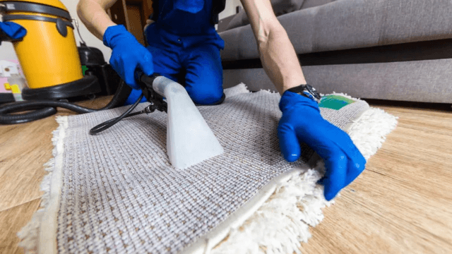 The Importance of Professional Carpet